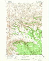 Download a high-resolution, GPS-compatible USGS topo map for Cahill Mtn, WA (1971 edition)