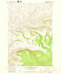 Download a high-resolution, GPS-compatible USGS topo map for Cahill Mtn, WA (1980 edition)
