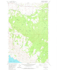 Download a high-resolution, GPS-compatible USGS topo map for Camp Seven, WA (1980 edition)