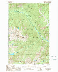Download a high-resolution, GPS-compatible USGS topo map for Cashmere Mountain, WA (1989 edition)
