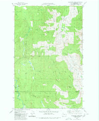 preview thumbnail of historical topo map of Whatcom County, WA in 1980