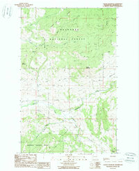 Download a high-resolution, GPS-compatible USGS topo map for Cayuse Mountain, WA (1988 edition)
