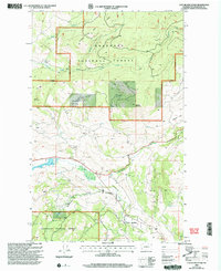 Download a high-resolution, GPS-compatible USGS topo map for Cayuse Mountain, WA (2004 edition)