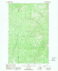 Download a high-resolution, GPS-compatible USGS topo map for Central Peak, WA (1989 edition)