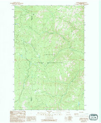 Download a high-resolution, GPS-compatible USGS topo map for Central Peak, WA (1993 edition)