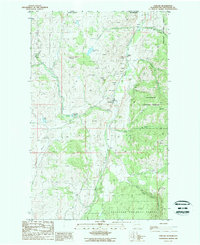 Download a high-resolution, GPS-compatible USGS topo map for Chesaw, WA (1988 edition)