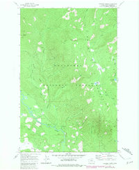 Download a high-resolution, GPS-compatible USGS topo map for Chikamin Creek, WA (1981 edition)