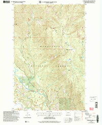 Download a high-resolution, GPS-compatible USGS topo map for Chikamin Creek, WA (2008 edition)
