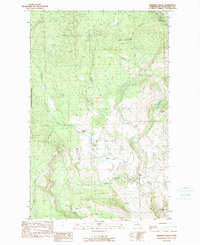 Download a high-resolution, GPS-compatible USGS topo map for Chiliwist Valley, WA (1989 edition)