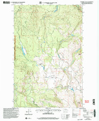 Download a high-resolution, GPS-compatible USGS topo map for Chiliwist Valley, WA (2004 edition)