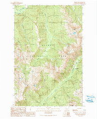 Download a high-resolution, GPS-compatible USGS topo map for Chimney Peak, WA (1990 edition)