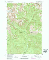 Download a high-resolution, GPS-compatible USGS topo map for Chinook Pass, WA (1987 edition)