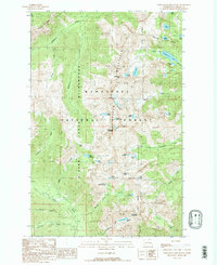 Download a high-resolution, GPS-compatible USGS topo map for Chiwaukum Mountains, WA (1989 edition)