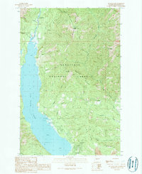 Download a high-resolution, GPS-compatible USGS topo map for Cle Elum Lake, WA (1989 edition)