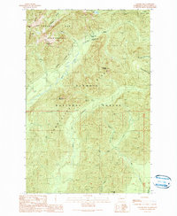 Download a high-resolution, GPS-compatible USGS topo map for Colonel Bob, WA (1990 edition)