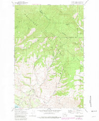 Download a high-resolution, GPS-compatible USGS topo map for Cooper Ridge, WA (1981 edition)