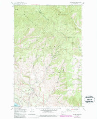 Download a high-resolution, GPS-compatible USGS topo map for Cooper Ridge, WA (1987 edition)