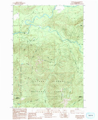 Download a high-resolution, GPS-compatible USGS topo map for Cowlitz Falls, WA (1994 edition)