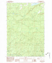 Download a high-resolution, GPS-compatible USGS topo map for Coyote Mtn, WA (1983 edition)