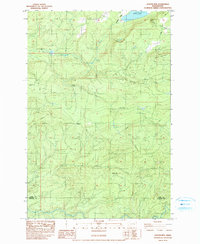Download a high-resolution, GPS-compatible USGS topo map for Coyote Mtn, WA (1991 edition)