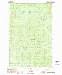 Download a high-resolution, GPS-compatible USGS topo map for Crawfish Lake, WA (1989 edition)