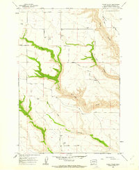 Download a high-resolution, GPS-compatible USGS topo map for Crider Valley, WA (1963 edition)
