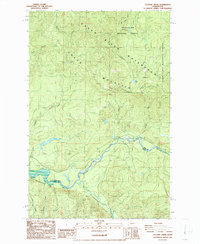 preview thumbnail of historical topo map of King County, WA in 1986
