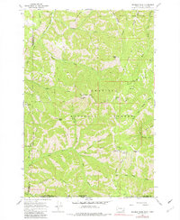 Download a high-resolution, GPS-compatible USGS topo map for Deadman Peak, WA (1981 edition)