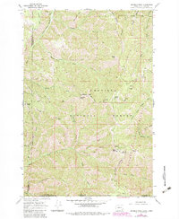 Download a high-resolution, GPS-compatible USGS topo map for Deadman Peak, WA (1983 edition)