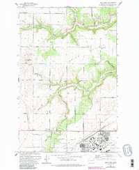 Download a high-resolution, GPS-compatible USGS topo map for Deep Creek, WA (1986 edition)