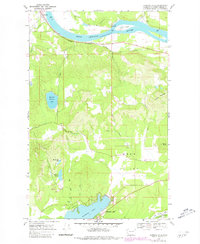 Download a high-resolution, GPS-compatible USGS topo map for Diamond Lake, WA (1981 edition)