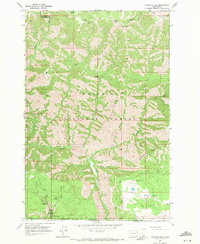Download a high-resolution, GPS-compatible USGS topo map for Diamond Peak, WA (1971 edition)