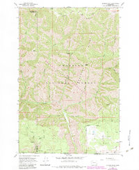 Download a high-resolution, GPS-compatible USGS topo map for Diamond Peak, WA (1983 edition)