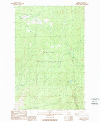 Download a high-resolution, GPS-compatible USGS topo map for Disautel, WA (1989 edition)