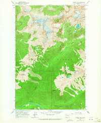 Download a high-resolution, GPS-compatible USGS topo map for Downey Mtn, WA (1965 edition)
