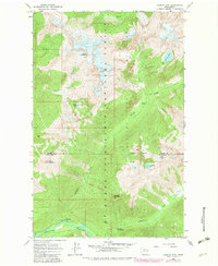 Download a high-resolution, GPS-compatible USGS topo map for Downey Mtn, WA (1983 edition)