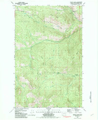 Download a high-resolution, GPS-compatible USGS topo map for Duncan Ridge, WA (1982 edition)