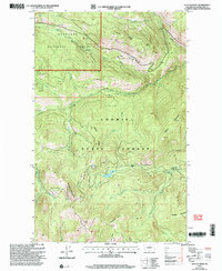 Download a high-resolution, GPS-compatible USGS topo map for Duncan Ridge, WA (2004 edition)