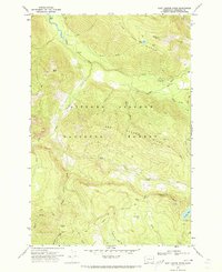 Download a high-resolution, GPS-compatible USGS topo map for East Canyon Ridge, WA (1973 edition)