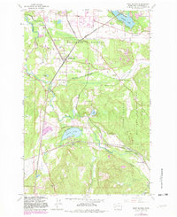 Download a high-resolution, GPS-compatible USGS topo map for East Olympia, WA (1982 edition)
