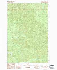 preview thumbnail of historical topo map of Pacific County, WA in 1994