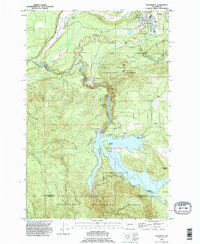 preview thumbnail of historical topo map of Eatonville, WA in 1990