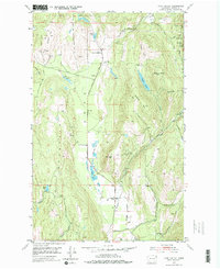 Download a high-resolution, GPS-compatible USGS topo map for Echo Valley, WA (1976 edition)