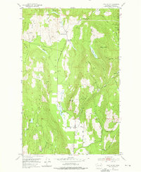 Download a high-resolution, GPS-compatible USGS topo map for Echo Valley, WA (1976 edition)
