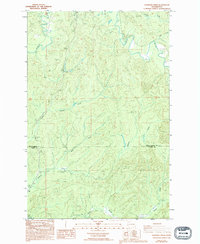 Download a high-resolution, GPS-compatible USGS topo map for Elkhorn Creek, WA (1994 edition)