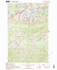 Download a high-resolution, GPS-compatible USGS topo map for Enchantment Lakes, WA (1989 edition)