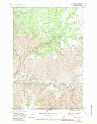Download a high-resolution, GPS-compatible USGS topo map for Fields Spring, WA (1983 edition)