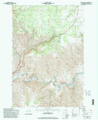 Download a high-resolution, GPS-compatible USGS topo map for Fields Spring, WA (1998 edition)