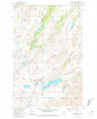 Download a high-resolution, GPS-compatible USGS topo map for Fishtrap Lake, WA (1981 edition)