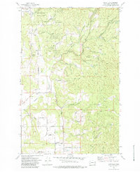 Download a high-resolution, GPS-compatible USGS topo map for Foothills, WA (1984 edition)